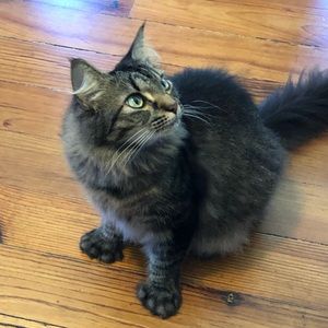 Meet your Posher, Margie